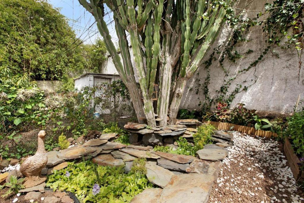 Casa Con Jardin Villa Такоронте Екстериор снимка